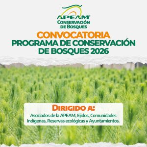 Cartel Reforestación ENERO 2026-01